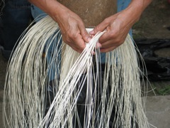 Panama hat weaver