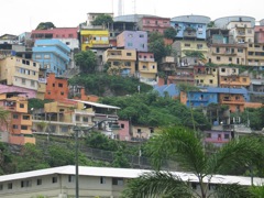 Multi-colored houses